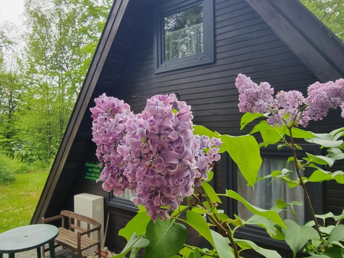 Ferienhaus Marpe 125 Bad Arolsen Exterior foto
